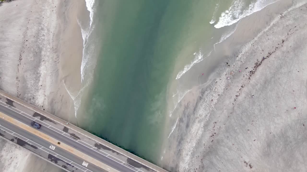 delmar dog beach 무인 항공기가 바다를 바라 봅니다.