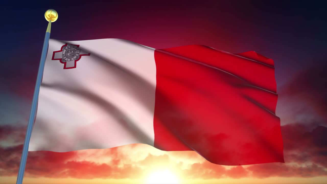 4k 고도로 상세한 몰타의 발 loopable