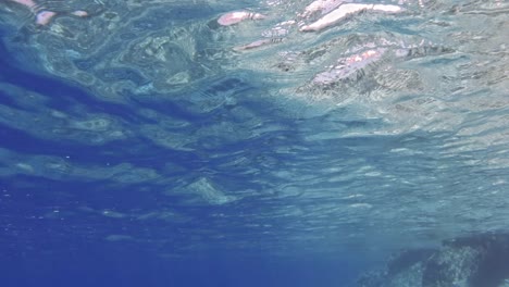 small fishes swimming across the clear waters of paralia emplisi beach, greece- underwater