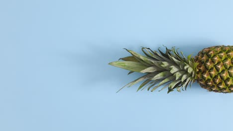 pineapple spin in place on right side of pastel blue theme. stop motion