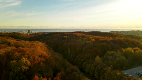 Exuberante-Bosque-De-Colores-Otoñales-Al-Amanecer-En-La-Ciudad-Portuaria-De-Gdynia,-Polonia