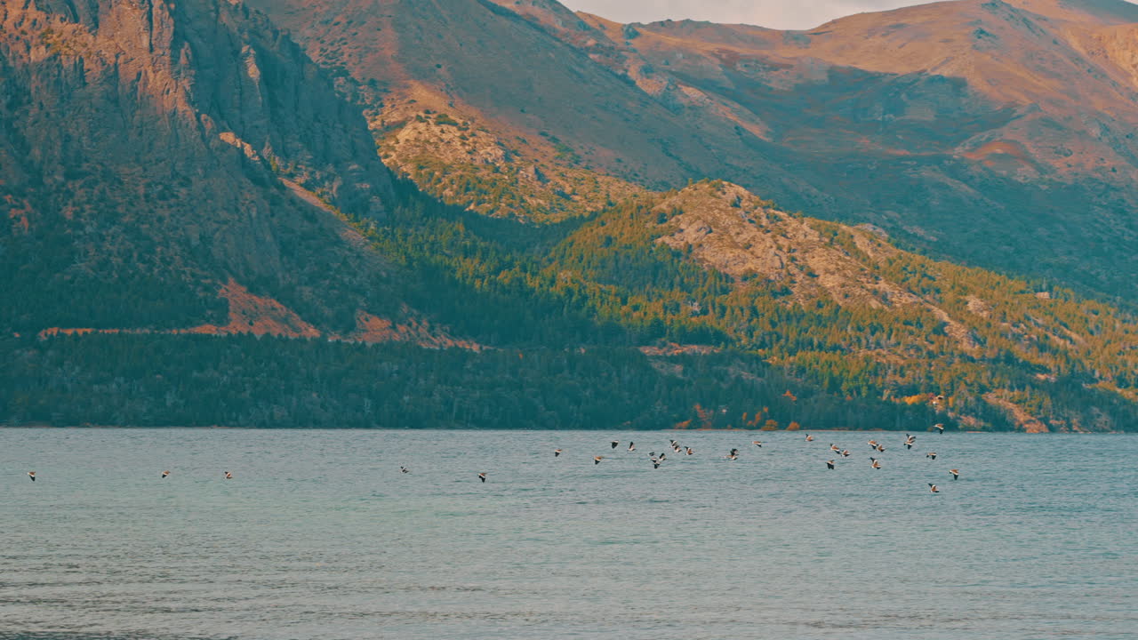Flock of Birds Flying Over a Serene Mountain Lake