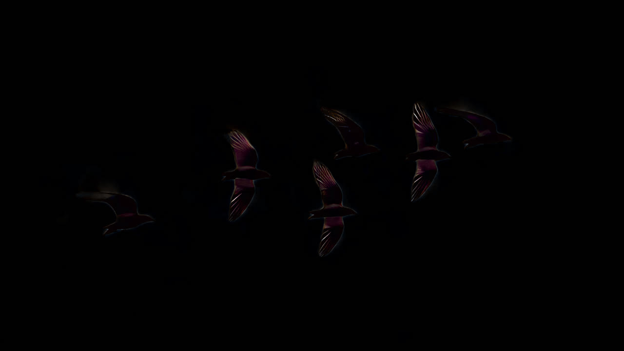 Silhouetted birds against yellow animation isolated asset, transparent 4K video, alpha channel