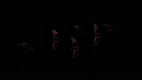 silhouetted birds against yellow animation isolated asset, transparent 4k video, alpha channel