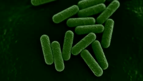 vista microscópica en 4k de una colonia de bacterias.