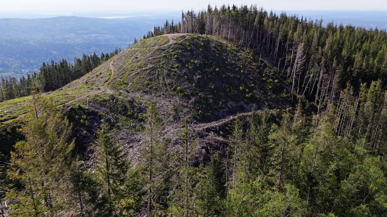 워싱턴 주 에 있는 이사쿠아 알프스 산맥 의 경치 좋은 산꼭대기 를 공중 에서 볼 수 있다.