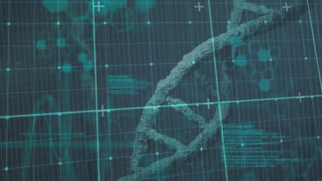 animación del hilado de cadenas de adn y procesamiento de datos sobre la cuadrícula