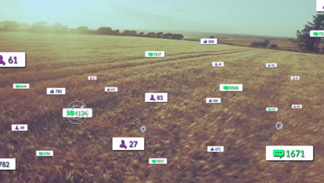 animación de datos de interacción con las redes sociales sobre una vista aérea de un campo de trigo