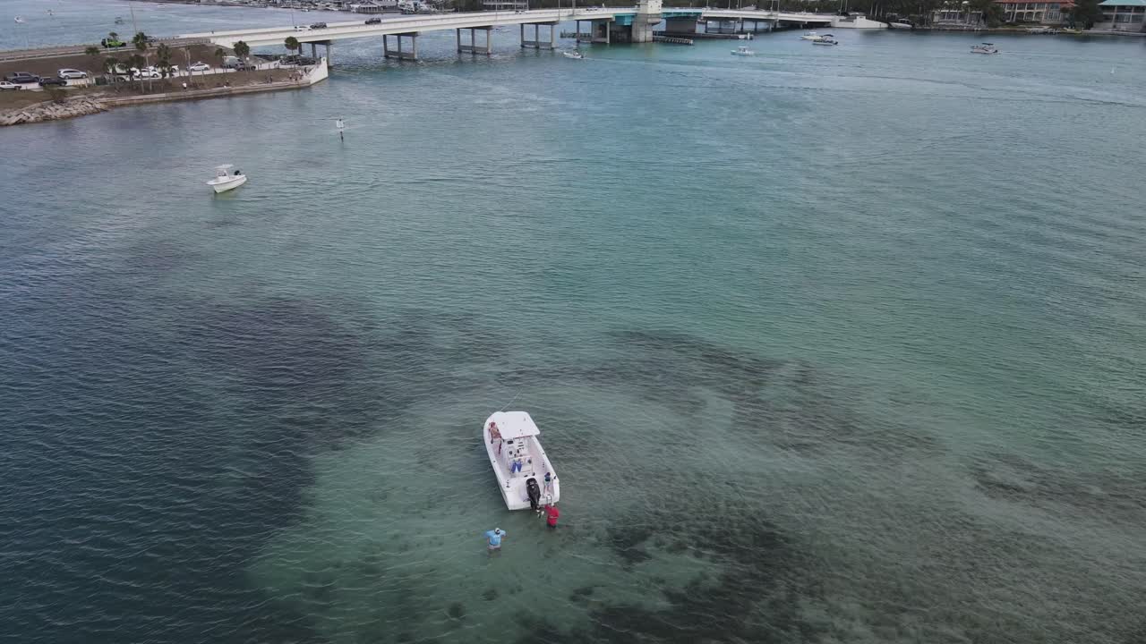 antena de los navegantes vadeando en las aguas poco profundas de new pass en sarasota, florida