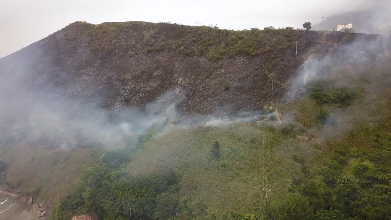 산악 식물 을 태우는 불, 브라질.