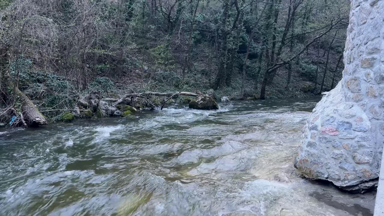 Un ruscello forestale scorre sulle rocce con una corrente visibile, passando accanto a un pilastro di ponte in pietra e una riva boscosa con rami caduti.