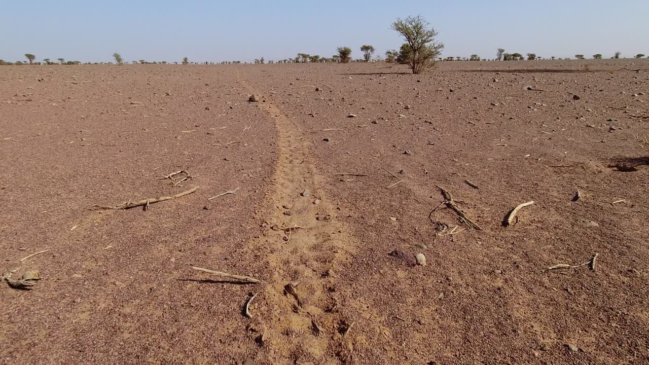 una sola pista de una motocicleta en el desierto del sahara - revelación de inclinación hacia arriba
