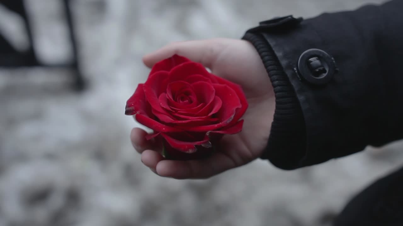 A young woman holds a rose