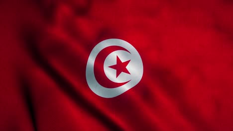 tunisia flag waving in the wind. national flag of tunisia. sign of tunisia seamless loop animation. 4k