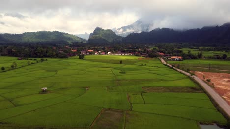 panoramic bird's-eye view of a rice paddy field in naka, rural laos