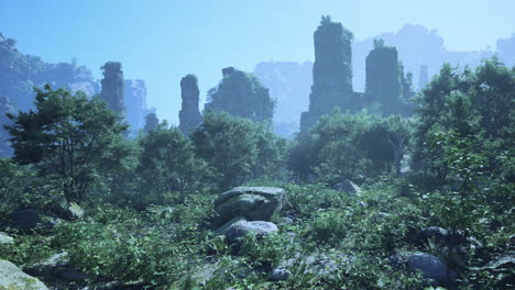 misty forest with tall rock formations