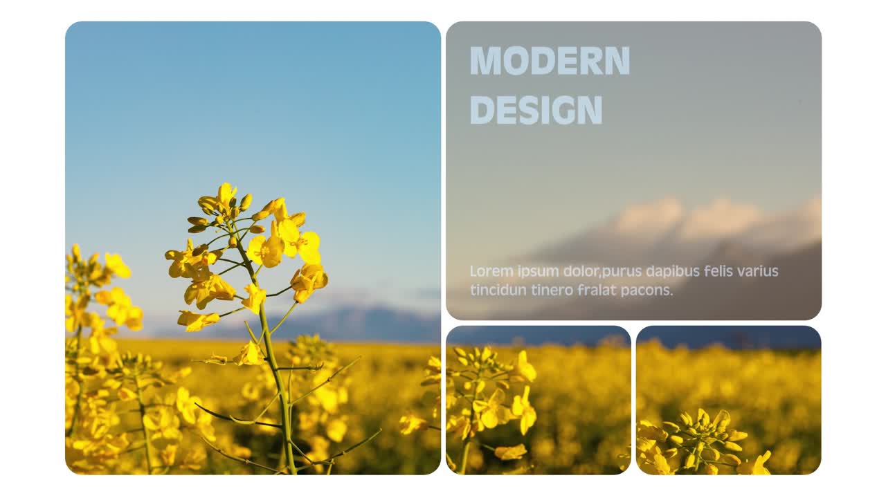 Modern and Clean Design Templates