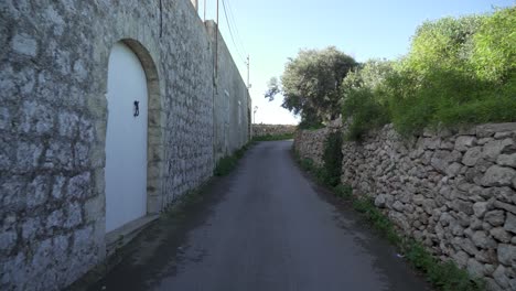 lonely road leading to dingli cliffs with trees growing in nearby garden