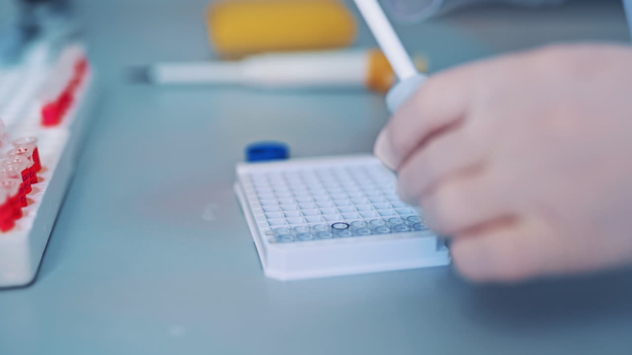 Science laboratory research. Close up view of scientist holds and examine samples