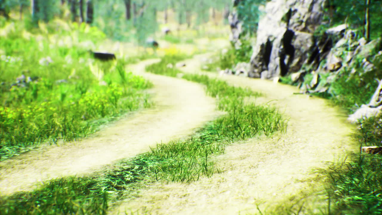 Winding dirt path through lush green landscape in a tranquil forest setting