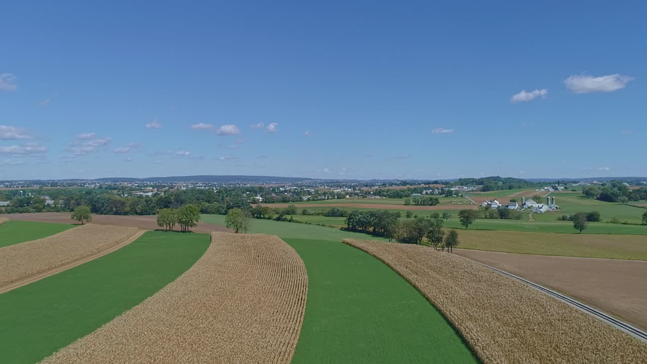 An Aerial View of a Rows of a Corn Fields Waiting to be Harvested in the Middle of an Alfalfa Fields on a Sunny Fall Day