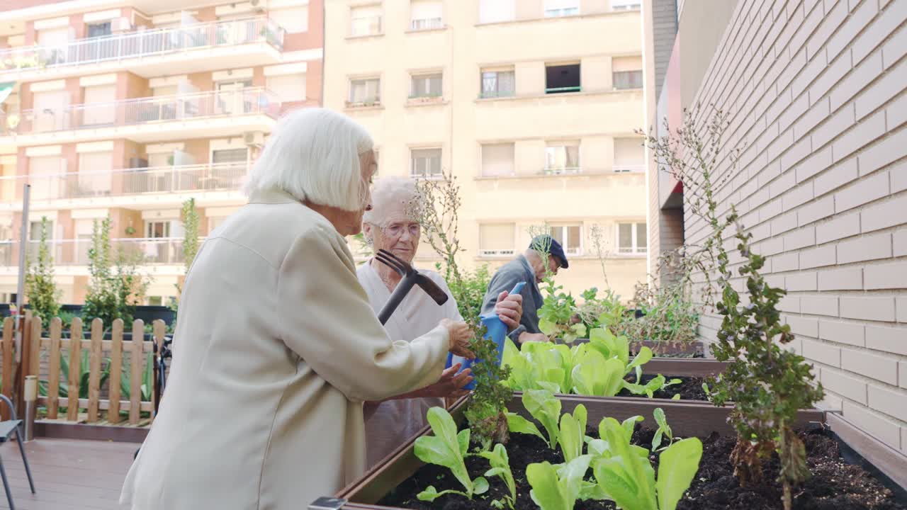 Senior citizens gardening in a rooftop garden