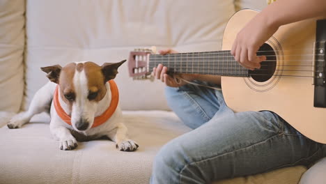 Niño-Tocando-La-Guitarra-Sentado-En-El-Sofá,-Junto-A-él-Está-Su-Perro-Acostado-Y-Su-Otro-Perro-Se-Acerca