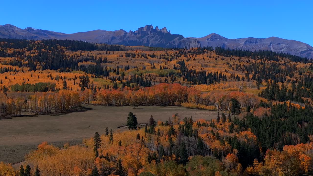 Ohio Kebler Swampy Pass Crested Butte fall autumn auburn peak colors Castle Mountain aerial drone Colorado vibrant thick full Aspen Trees Gunnison National forest morning sunny blue sky forward pan up