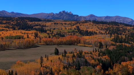 ohio kebler swampy pass crested butte fall autumn auburn peak colors castle mountain aerial drone colorado vibrant thick full aspen trees gunnison national forest morning sunny blue sky forward pan up