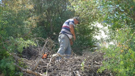 Mann-Schneidet-Holz-Mit-Kettensäge-Auf-Dem-Land