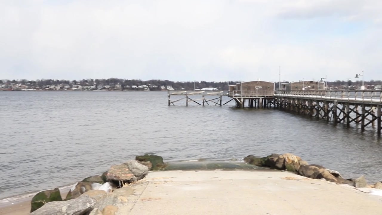 Mole i Bayside Queens, NY
