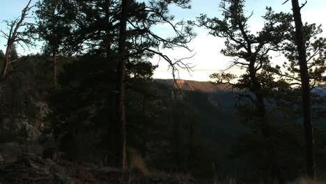 Drohnenaufnahme-Durch-Einen-Wald-Mit-Talblick-Im-Hintergrund