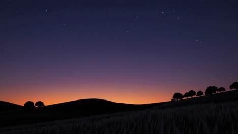 night sky with silhouetted landscape and stars