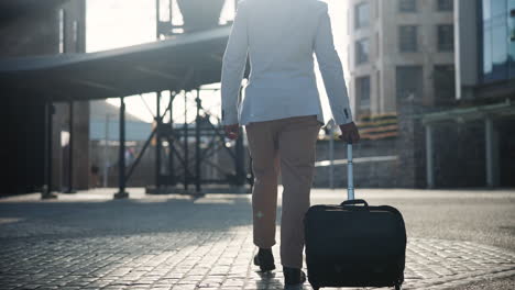 businessman walking with luggage in city