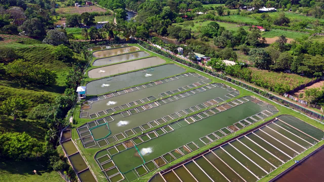 Fish farm with numerous rectangular ponds, Dominican Republic. Aerial drone orbiting