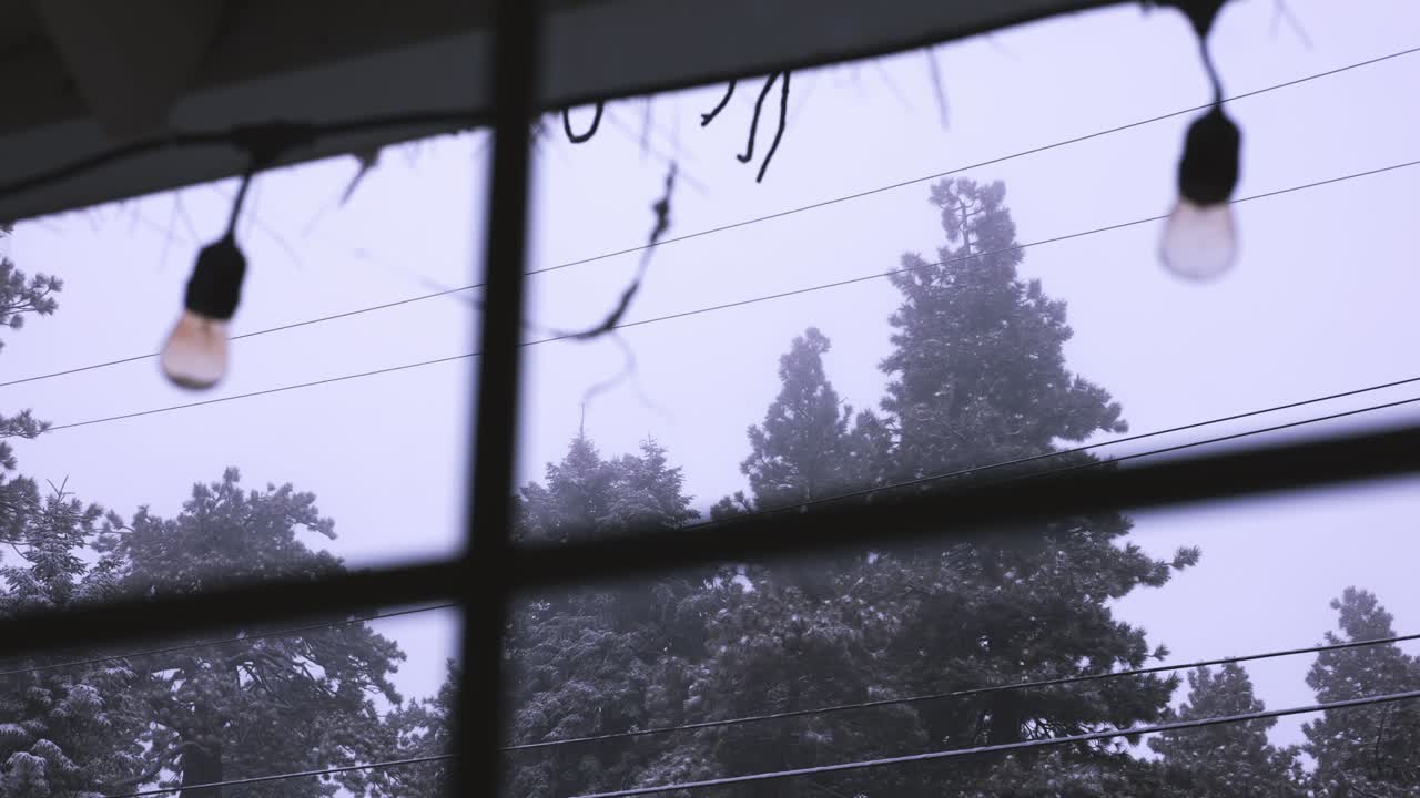 2023-2024 시즌의 첫 번째 겨울 폭풍은 샌 버나디노 산에 있습니다.