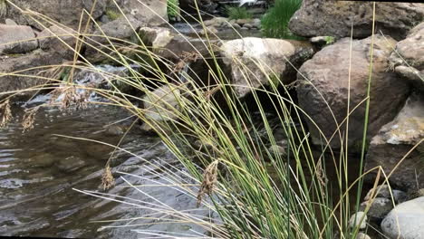 slow motion of a stream cascading over rocks under a wooden bridge