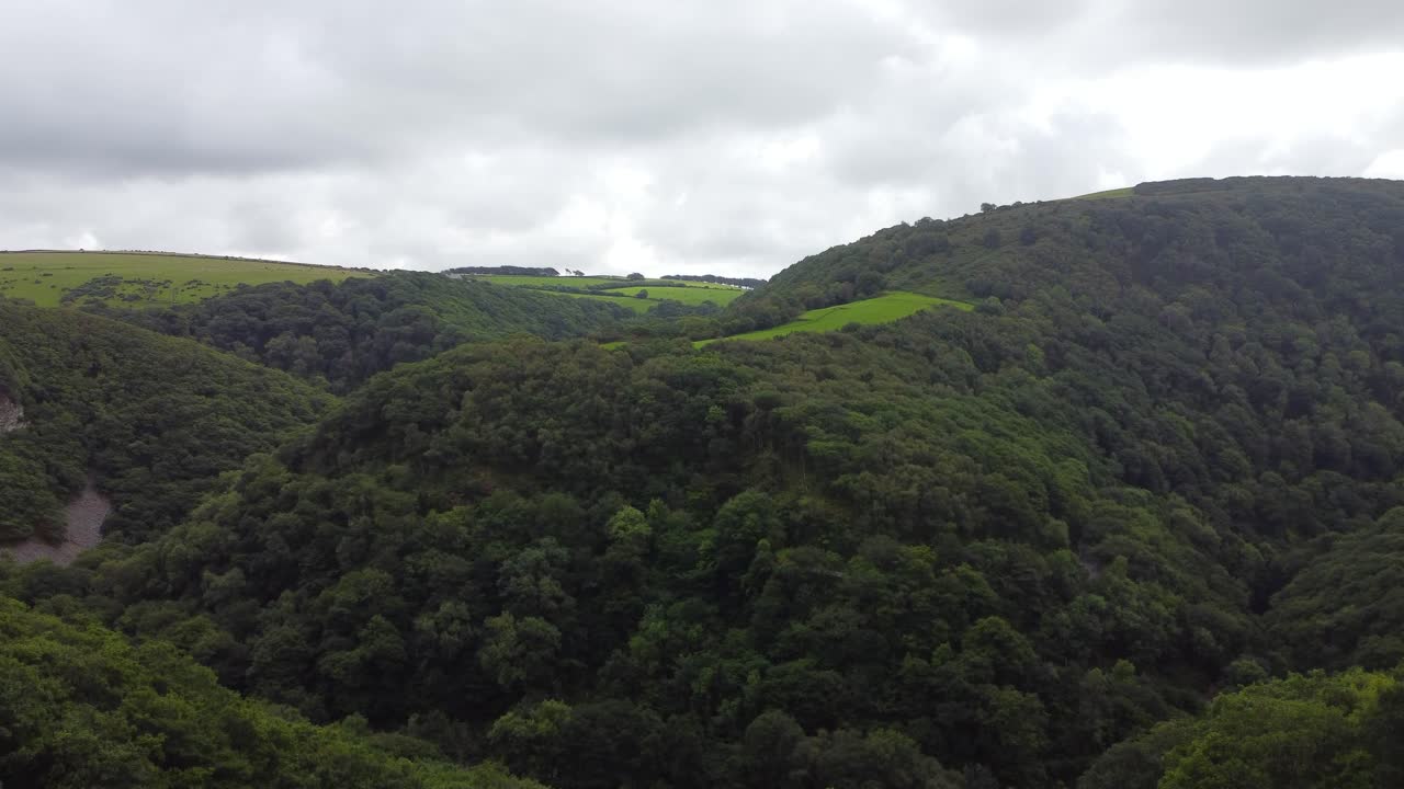 rápida elevación revelación aérea de un profundo valle sinuoso en el campo