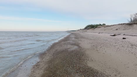 Beautiful-aerial-establishing-view-of-Baltic-sea-coast,-overcast-winter-day,-calm-beach-with-white-sand,-pine-tree-forest,-coastal-erosion,-climate-changes,-low-drone-shot-moving-forward