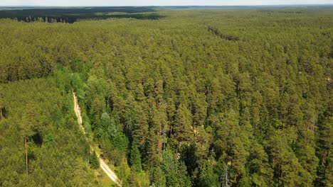 macizo forestal desde la vista de la torre