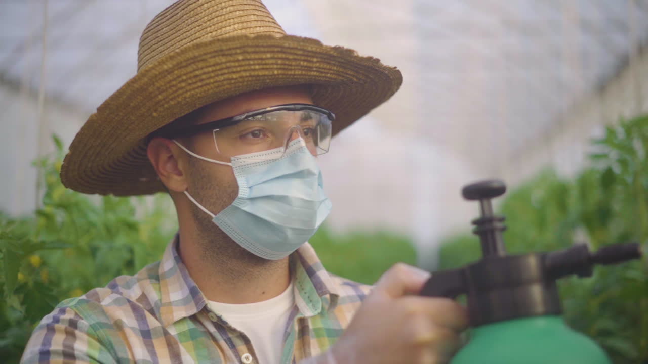Farmer spraying plants in a greenhouse
