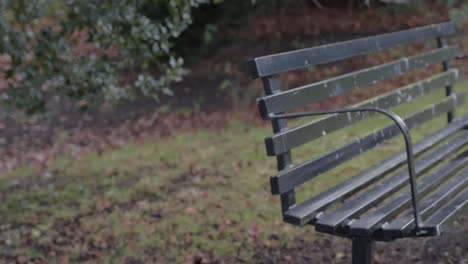 Empty-park-bench-on-winter-day-in-park