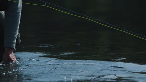 imágenes en cámara lenta de un pescador sosteniendo una trucha en un río y luego soltándola de nuevo en el agua