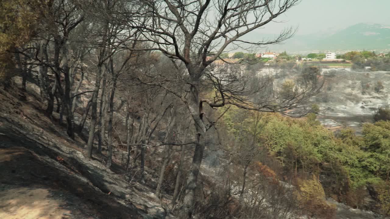 Wide pan view of catastrophic results of big forest fire at Parnitha mountain, Greece , August 2021