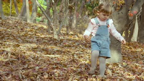 multi-ethnic little girl in denim jumper curiously walking on the fallen leaves in the park during autumn