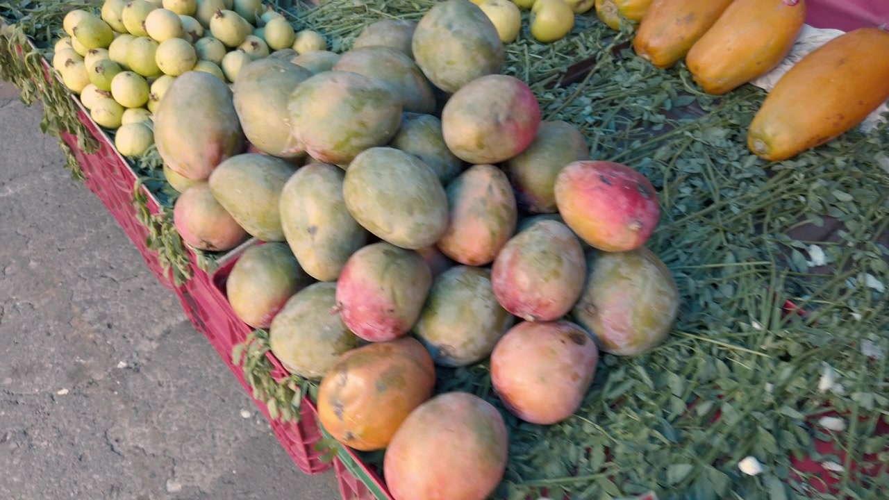Frutta tropicale fresca esposta in vendita in un tradizionale mercato tianguis in Messico, con mango, guava, banane, arance e papaie.