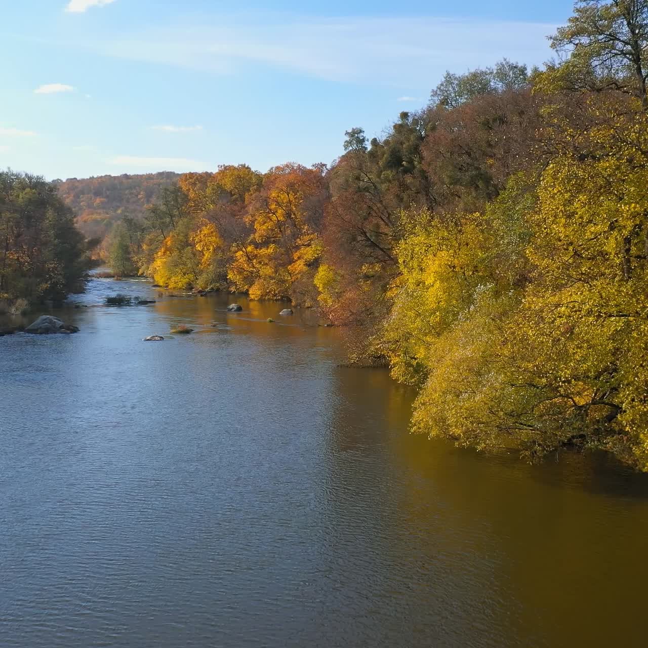 Aerial view. Flying over the beautiful sunny forest trees and wide river. Autumn forest and landscape panorama concept
