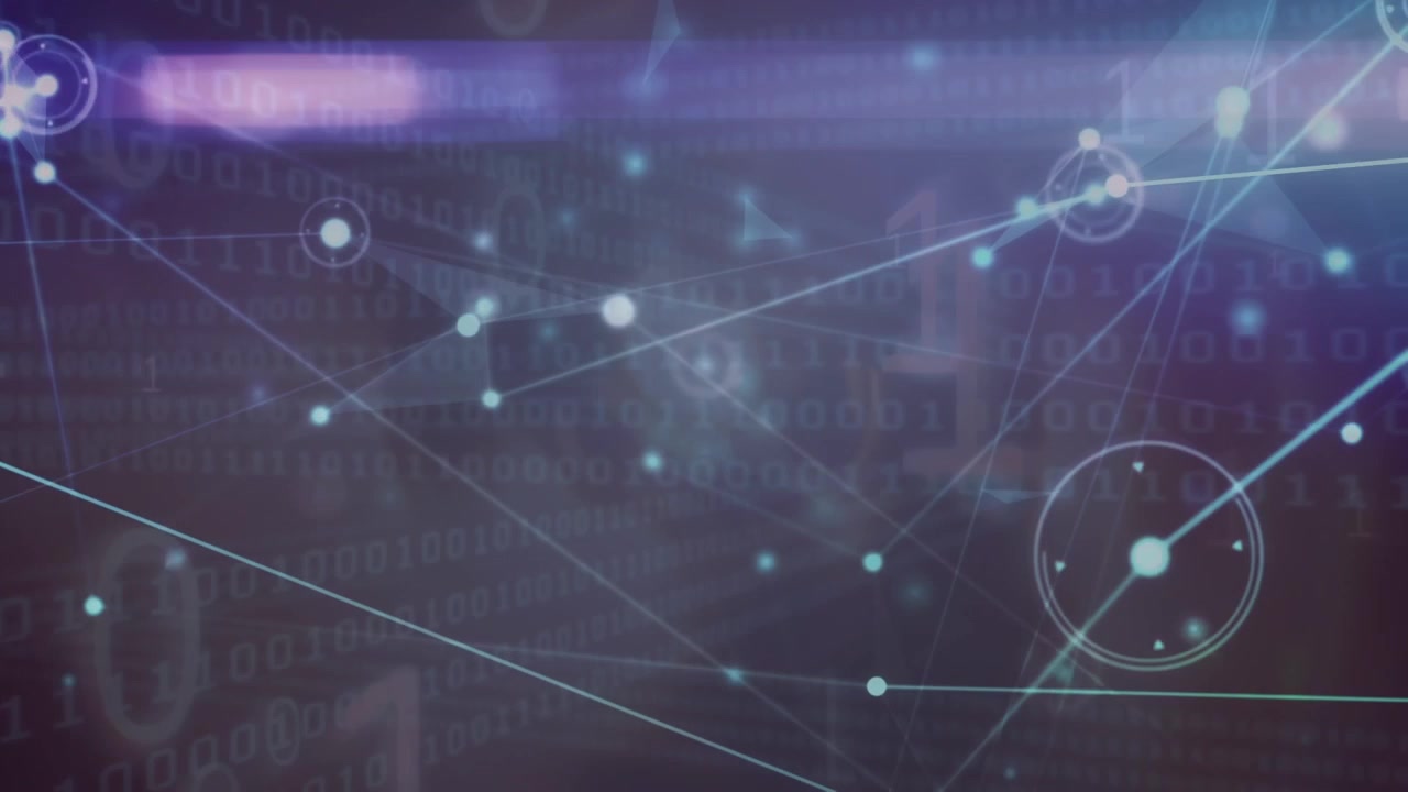 Animation of network of connections over data processing