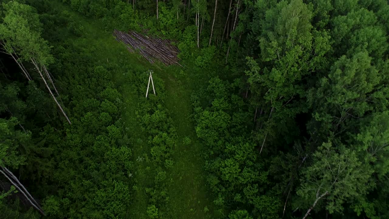 4K HD Aerial view camera moves rising up from green forest.