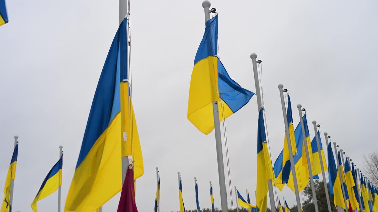 Ukrainian flags wave in the cold wind, standing over the graves of soldiers at Irpin Cemetery, Ukraine, who perished in the Ukraine-Russia war.